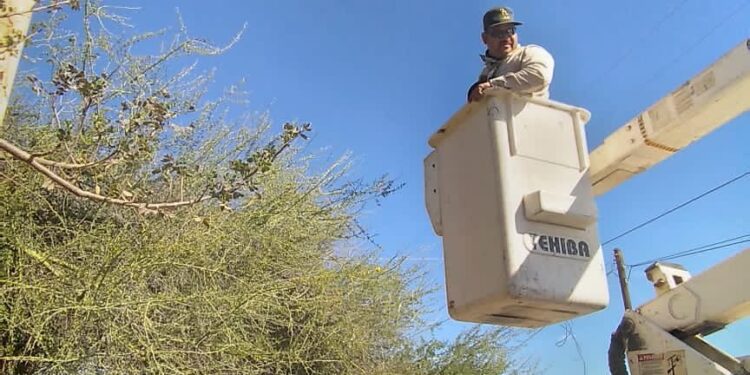 Más de 7 mil lámparas ahorradoras de energía se han instalado en Los Cabos