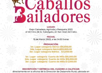 Gobierno Municipal realizará concurso de Caballos Bailadores durante las Fiestas Tradicionales San José del Cabo 2023