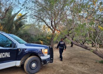 Mantiene Seguridad Pública vigilancia y recorridos permanentes en el Estero de San José del Cabo
