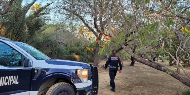 Mantiene Seguridad Pública vigilancia y recorridos permanentes en el Estero de San José del Cabo