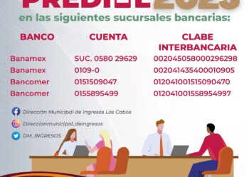 Continúa horario extendido en cajas recaudadoras de Palacio Municipal y edificio delegacional de CSL para realizar el pago del impuesto predial