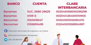 Continúa horario extendido en cajas recaudadoras de Palacio Municipal y edificio delegacional de CSL para realizar el pago del impuesto predial