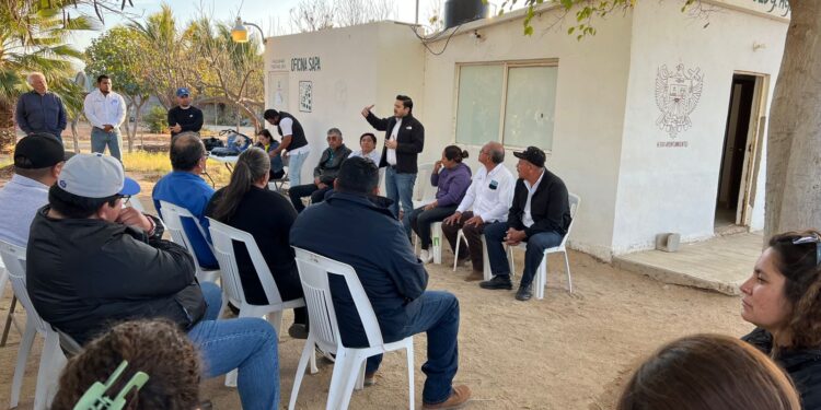 Trabajamos unidos para proteger nuestras especies marinas y la actividad pesquera de La Paz: diputado Eduardo Van Wormer