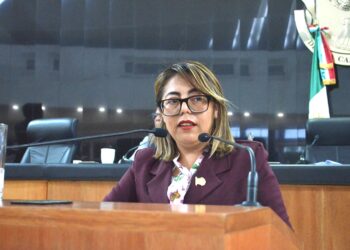 Requisito de elegibilidad, el no ser deudora o deudor alimentario moroso: diputadas Teresita Valentín y Gabriela Cisneros