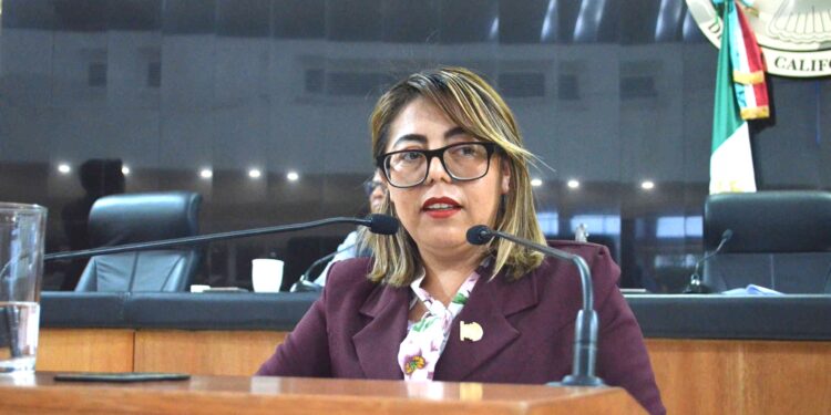 Requisito de elegibilidad, el no ser deudora o deudor alimentario moroso: diputadas Teresita Valentín y Gabriela Cisneros