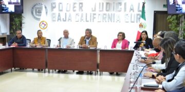 Analizan Congreso y Poder Judicial aspectos legales para dictaminar reformas a la Ley 3 de 3