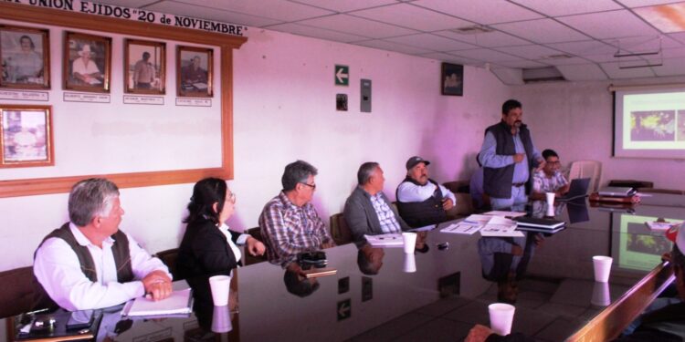 AVANZA PROYECTO DE REACTIVACIÓN DE CUENCA LECHERA EN EL VALLE DE SANTO DOMINGO: JABB