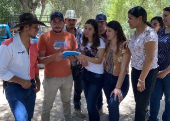 SUMAN ESFUERZOS SEPADA Y CEDH PARA  COMBATIR LAS VIOLENCIAS DE GÉNERO
