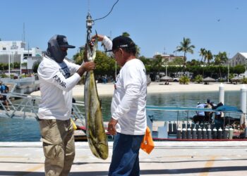 LIBERACIÓN DEL DORADO AFECTARÍA A BAJA CALIFORNIA SUR