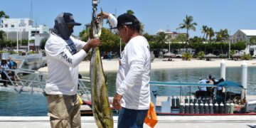 LIBERACIÓN DEL DORADO AFECTARÍA A BAJA CALIFORNIA SUR