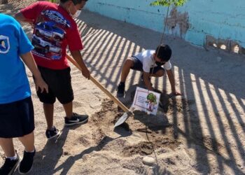 INVITA SIPINNA A SUMARSE A LA CAMPAÑA “PLANTANDO TUS DERECHOS”