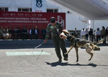 RECIBE UNIDAD K9 DE SSPE CAPACITACIÓN TÁCTICA MULTIPROPÓSITO EN VERACRUZ
