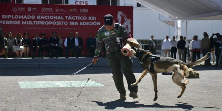 RECIBE UNIDAD K9 DE SSPE CAPACITACIÓN TÁCTICA MULTIPROPÓSITO EN VERACRUZ