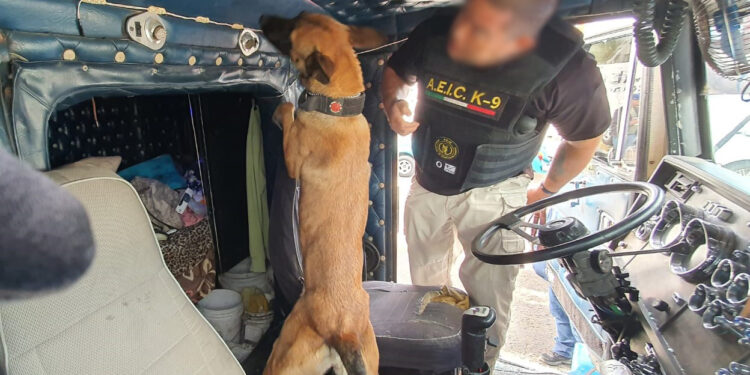 LUCIO Y MEZA SON LOS NUEVOS AGENTES CANINOS INTEGRANTES DE LA AGENCIA ESTATAL DE INVESTIGACIÓN CRIMINAL