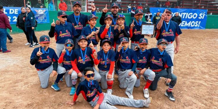 CARDENALITOS DE MULEGÉ CAMPEONES DEL ESTATAL DE BÉISBOL U-12 2023