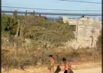 Hacen justicia por su propia mano habitantes.