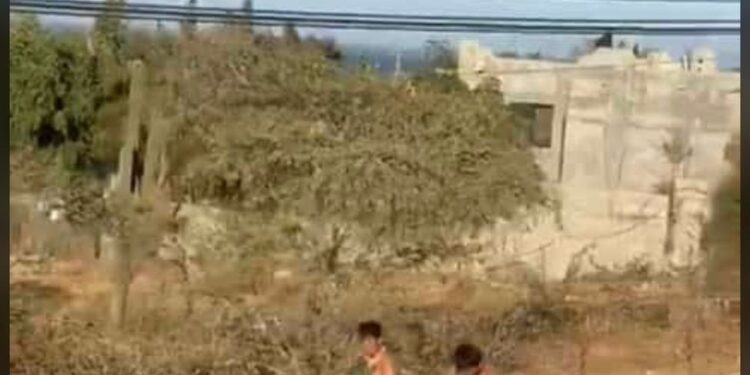 Hacen justicia por su propia mano habitantes.