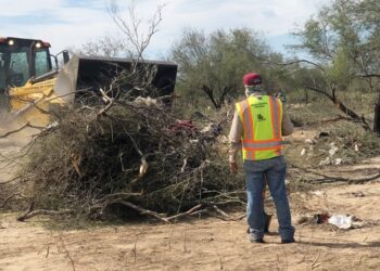 Se han recolectado más de 380 toneladas de ramas y basura en terreno de Tuna y Toronja