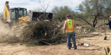 Se han recolectado más de 380 toneladas de ramas y basura en terreno de Tuna y Toronja