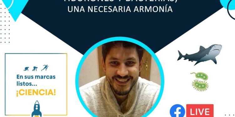 Invitan a charla en línea sobre la armonía necesaria entre tiburones y bacterias en el Golfo de California
