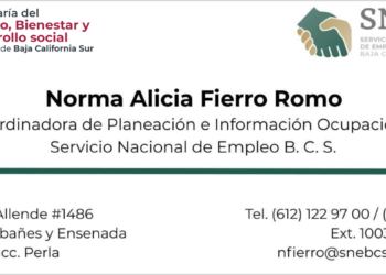 Gobierno del Estado llevará opciones de empleo a mujeres en zonas de rezago social en el marco de la campaña Párale a la Violencia: SNE-BCS