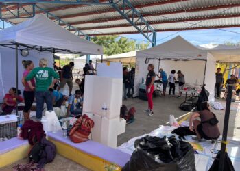 Se sumaron 250 canes y felinos más a las Jornadas de Esterilización impulsadas por la Coordinación Pro-Animal Los Cabos y Casa Sheila A.C.