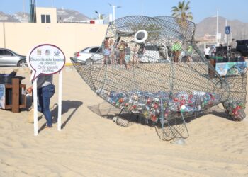 Gobierno de Los Cabos, empresas socialmente responsables y ciudadanía se unen en la limpieza de playas, arroyos y cuidado del medio ambiente&nbsp;
