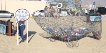 Gobierno de Los Cabos, empresas socialmente responsables y ciudadanía se unen en la limpieza de playas, arroyos y cuidado del medio ambiente&nbsp;