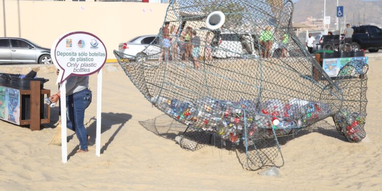 Gobierno de Los Cabos, empresas socialmente responsables y ciudadanía se unen en la limpieza de playas, arroyos y cuidado del medio ambiente&nbsp;
