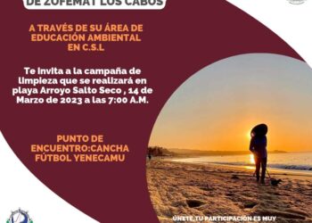 Súmate y participa en la jornada de limpieza de playa que Zofemat Los Cabos realizará este 14 de marzo en CSL