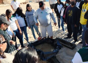 Con una jornada informativa y de limpieza en la playa Acapulquito, celebró Zofemat Los Cabos el “Día Mundial del Agua”