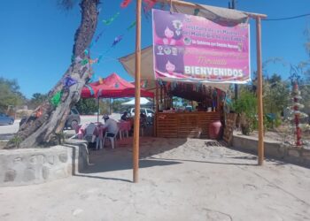 Gobierno de Los Cabos invita a visitar el Mercadito Mujeres Emprendedoras Miraflores