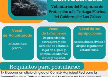 Lanzan convocatoria a través del Programa Municipal de Protección a la Tortuga Marina, para participar como voluntarios