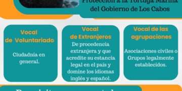 Lanzan convocatoria a través del Programa Municipal de Protección a la Tortuga Marina, para participar como voluntarios