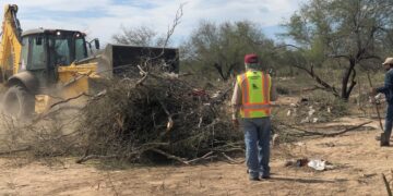 Avanzan trabajos de poda y limpieza en un predio de la colonia Indeco