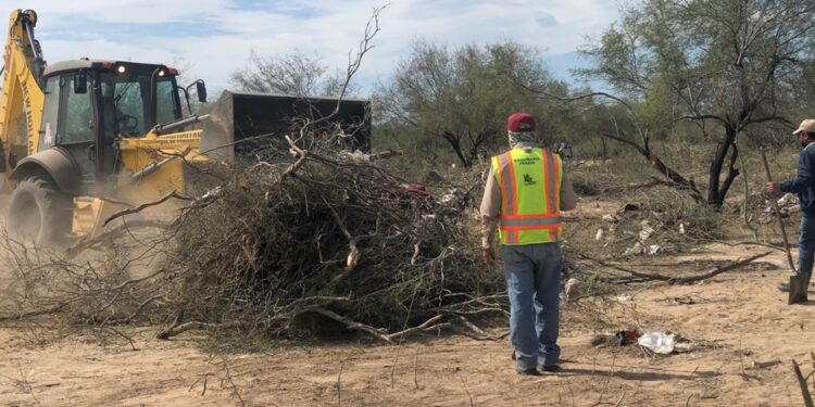Avanzan trabajos de poda y limpieza en un predio de la colonia Indeco