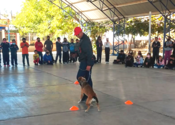 CEMAC y PREDEL unen esfuerzos para capacitar a niños sobre el cuidado animal