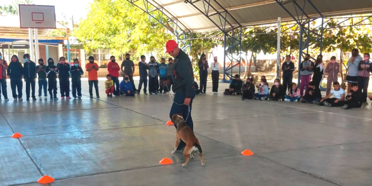 CEMAC y PREDEL unen esfuerzos para capacitar a niños sobre el cuidado animal