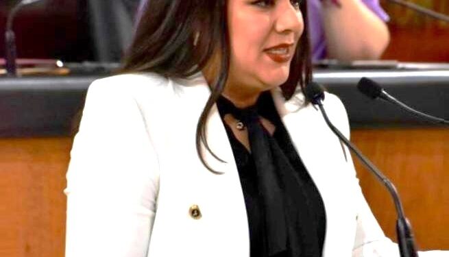 Urge actualizar el Reglamento de Construcciones para el Estado de Baja California Sur: Diputada Gabriela Cisneros