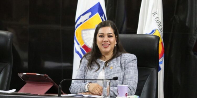 En BCS se trabaja en el análisis para incluir el Registro de Deudores Alimentarios en el dictamen de la Ley 3 de 3: Diputada Gabriela Cisneros