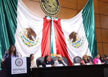Pide la diputada Guadalupe Vázquez mayores recursos para seguridad en BCS ante diputados federales