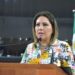Propone la diputada Marbella González se implemente el programa “Hoy No circula” en el municipio de Los Cabos