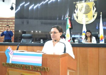 Propone diputada Paz Ochoa imposibilitar a diputados de comisiones de cuenta para presidir la JUGOCOPO