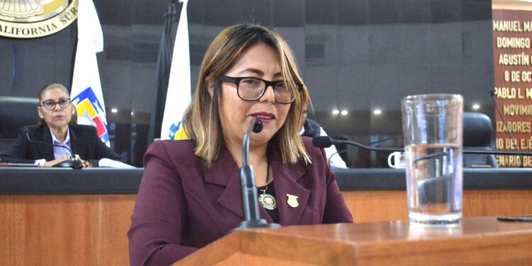 Que se incorpore señalización en Braille en aceras y rampas, propone la diputada Teresita Valentín