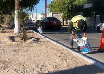 Embellece Servicios Públicos principales vialidades con pintura en los camellones