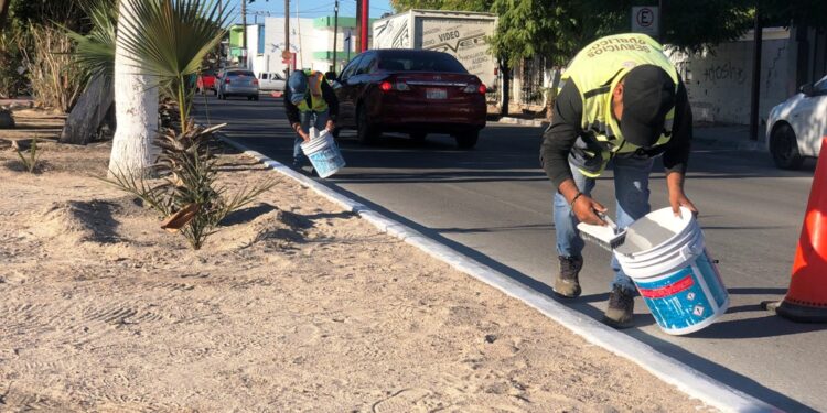 Embellece Servicios Públicos principales vialidades con pintura en los camellones
