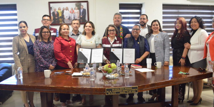 Proponen que se persiga de oficio el abandono de adultos mayores