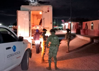 Detienen vehículo tipo camión en carretera Puerto San Carlos-Ciudad Constitución
