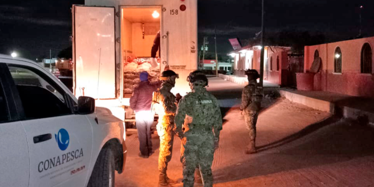 Detienen vehículo tipo camión en carretera Puerto San Carlos-Ciudad Constitución