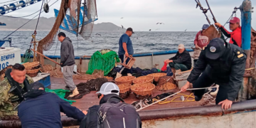 Detienen barco camaronero en El Sargento